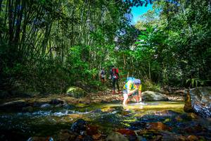 BIB: 
                            <button type="button" onclick="openModal(21765171)" class="btn btn-primary btn-sm float-right btn-popup" data-toggle="modal" data-target=".modal-high-quality">
                        <i class="fas fa-shopping-cart"></i> Add to Cart
                    </button>
                                            <button type="button" onclick="isThisMe(21765171, true)" class="btn btn-success btn-sm float-right btn-popup btn-isme hidden" data-toggle="tooltip" data-placement="bottom" title="นี่คือรูปของคุณใช่ไหม คลิกที่นี่เพื่อเอาเข้าอัลบั้ม">
                        <i class="fas fa-plus"></i> Add to album
                    </button>
                    <button type="button" onclick="isThisMe(21765171, false)" class="btn btn-warning btn-sm float-right btn-popup btn-isnotme hidden">
                        <i class="fas fa-ban"></i> Remove from album
                    </button>